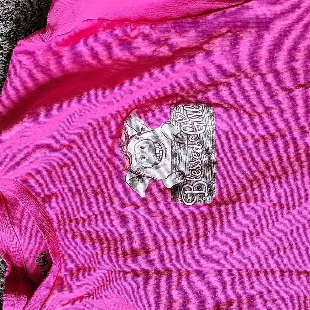 Pig theme Bible verse tshirt - Picture 4 of 6